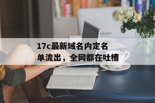 17c最新域名内定名单流出，全网都在吐槽